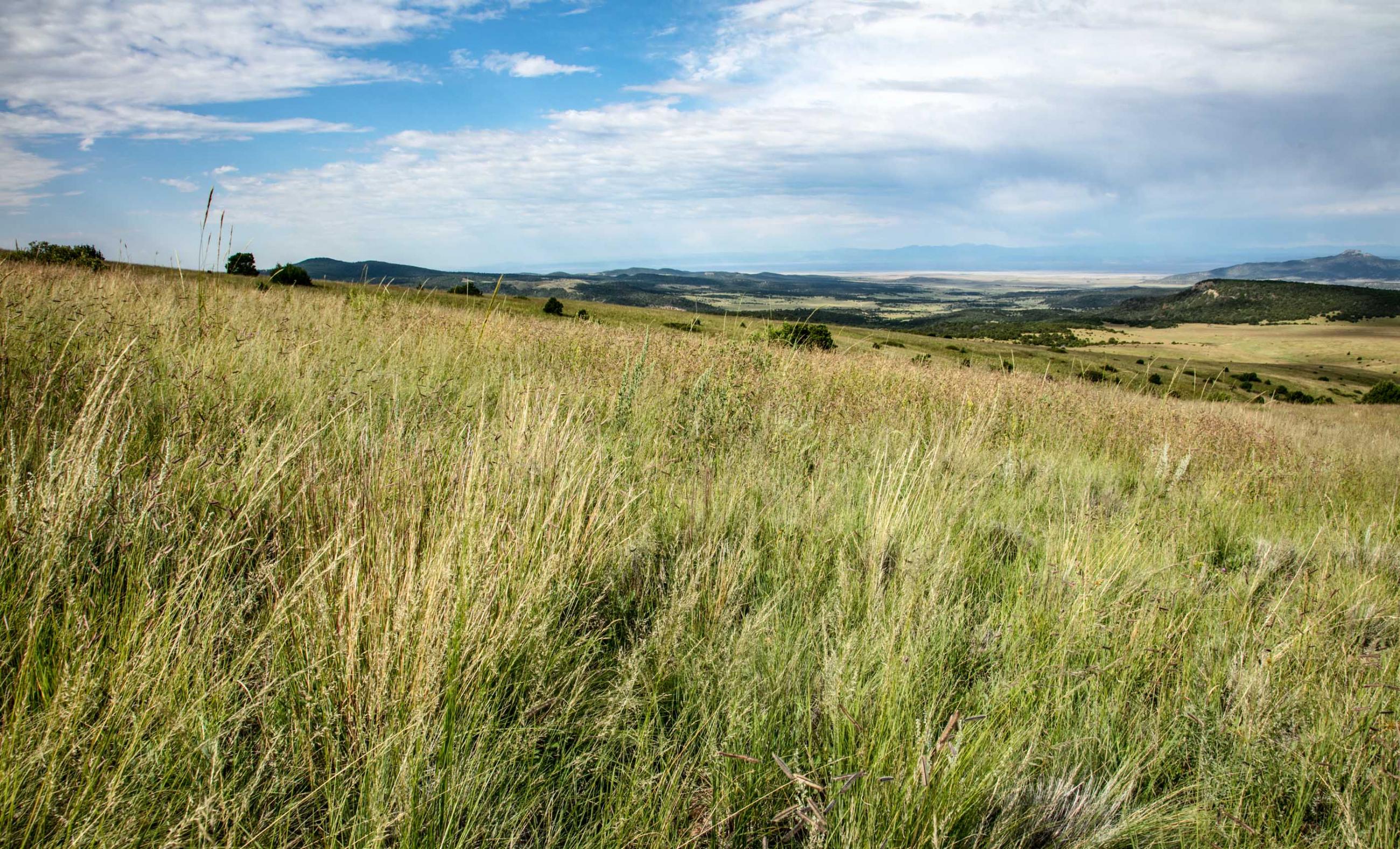 Laughlin Peak Ranch Chas S. Middleton